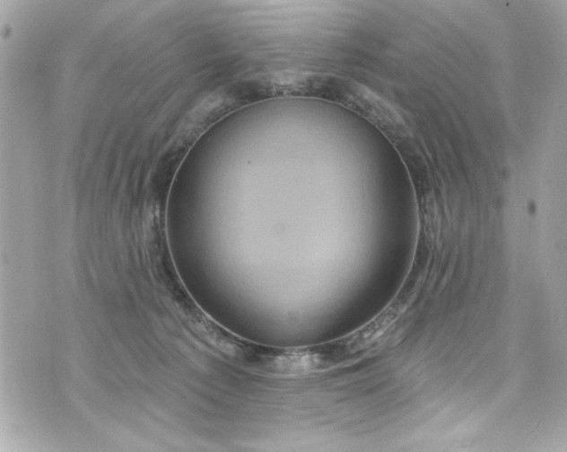 X0000075830225200609291430