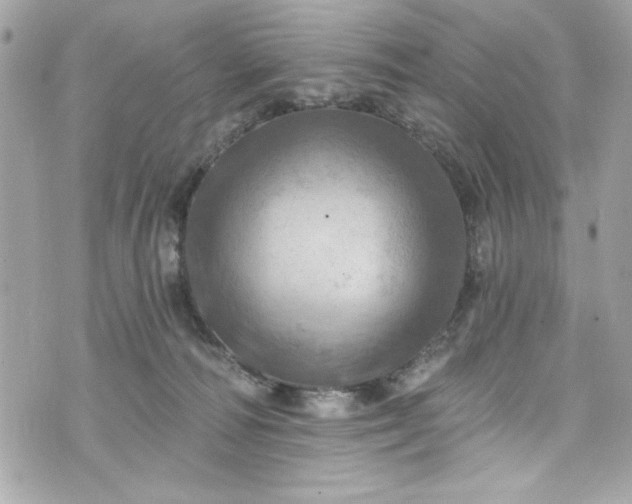 X0000075830226200609291430