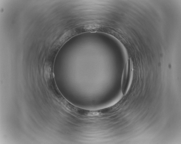 X0000075830227200609291430