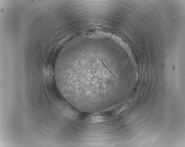 X0000075830228200609291430