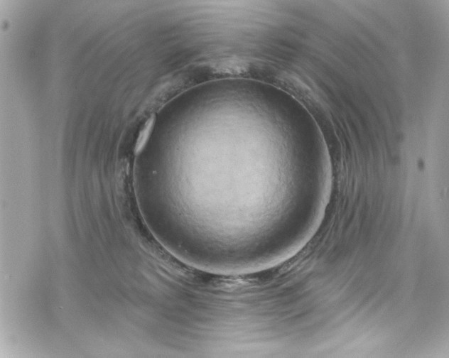 X0000075830229200609291430