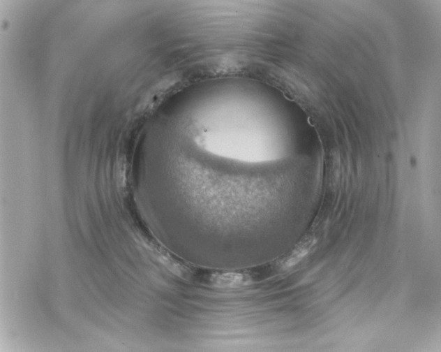 X0000075830230200609291430