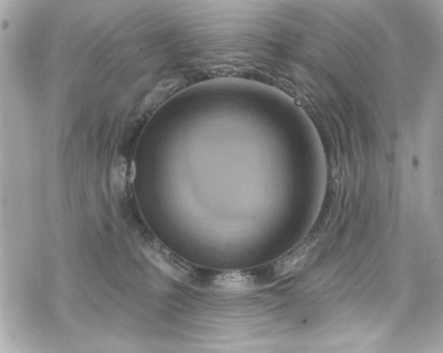 X0000075830231200609291430