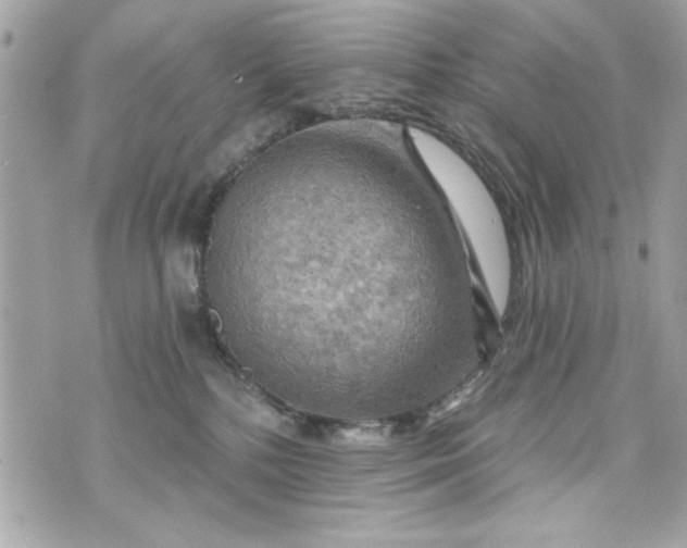 X0000075830232200609291430