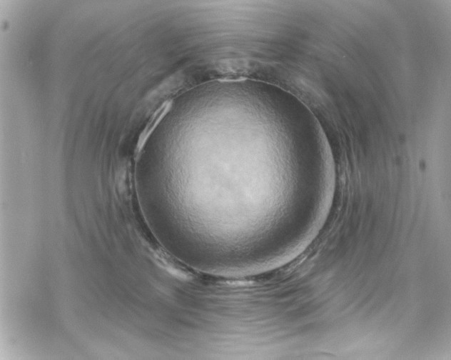 X0000075830233200609291430