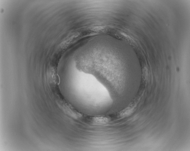 X0000075830234200609291430