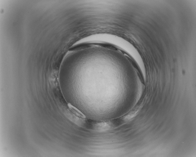 X0000075830237200609291430