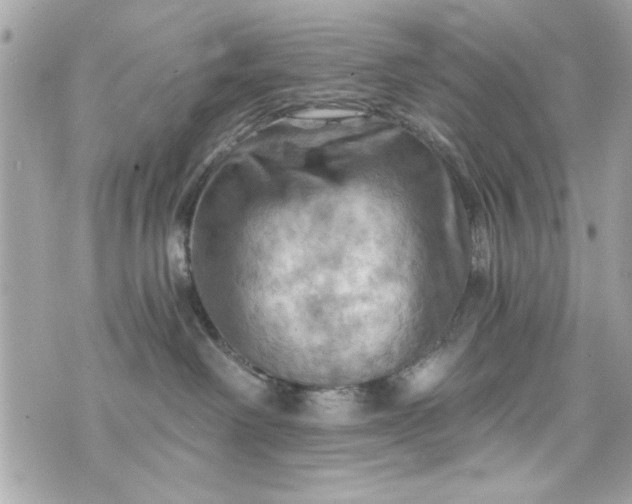 X0000075830238200609291430