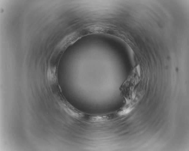 X0000075830239200609291430