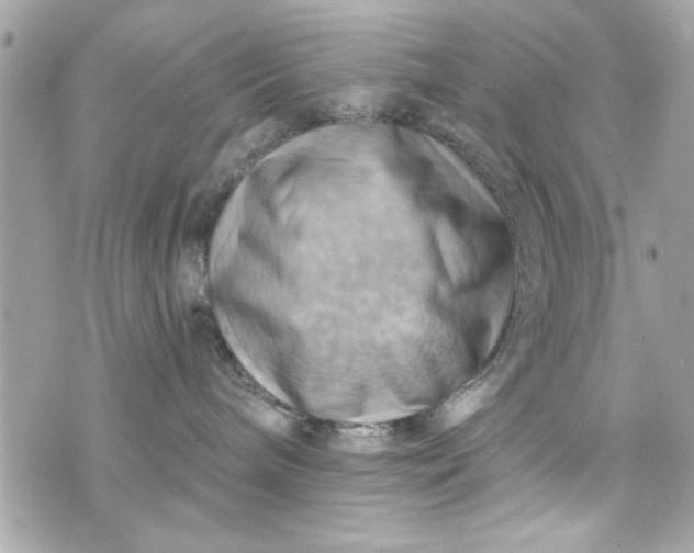 X0000075830240200609291430