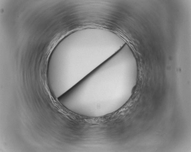 X0000075830241200609291429