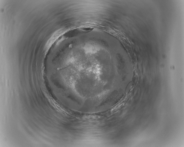 X0000075830242200609291429