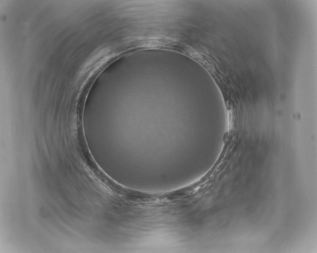 X0000075830243200609291429