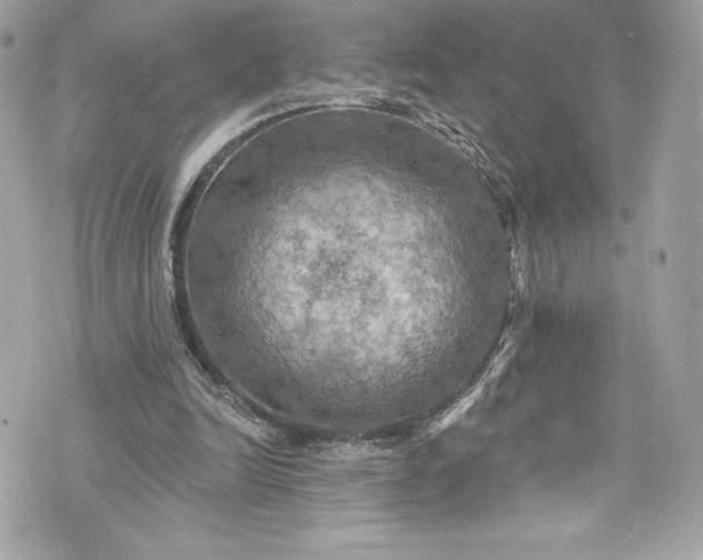 X0000075830246200609291429