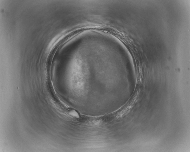 X0000075830247200609291429