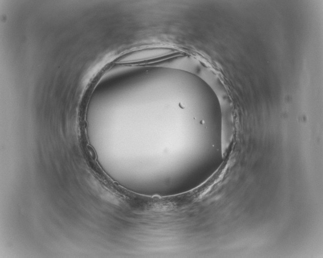 X0000075830248200609291429