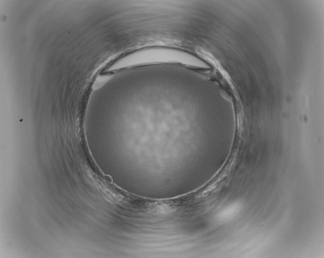 X0000075830249200609291429