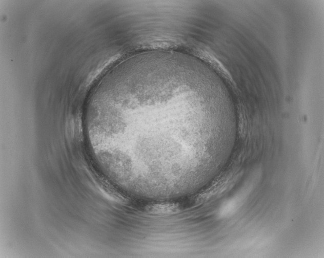 X0000075830251200609291429