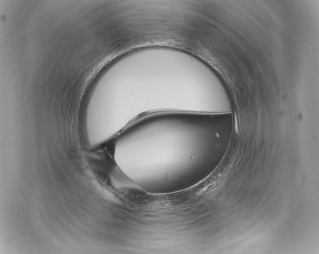 X0000075830252200609291429