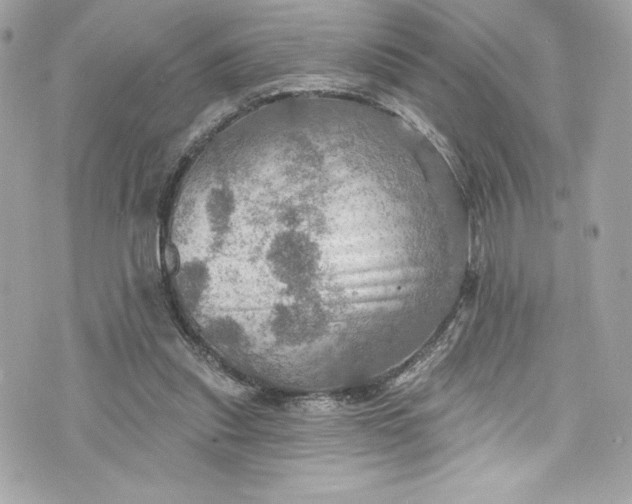 X0000075830253200609291429