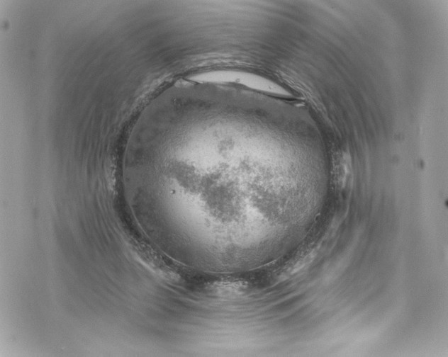 X0000075830255200609291429