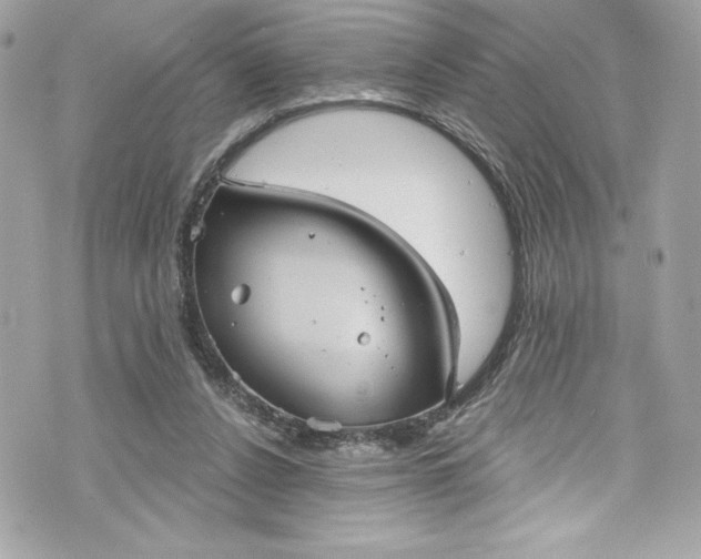 X0000075830256200609291429