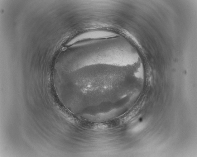 X0000075830257200609291429