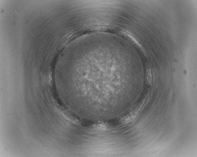 X0000075830259200609291429