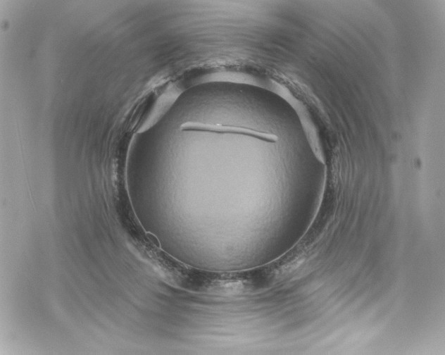 X0000075830260200609291429