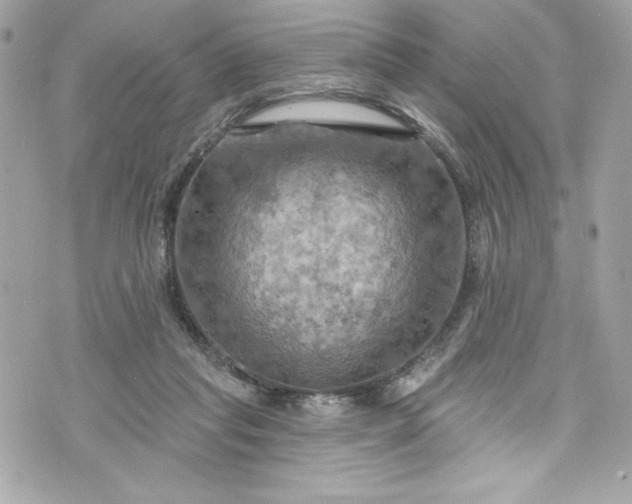 X0000075830261200609291429