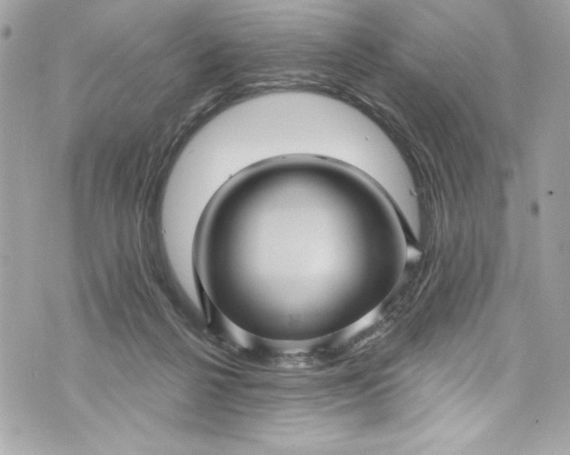 X0000075830264200609291429