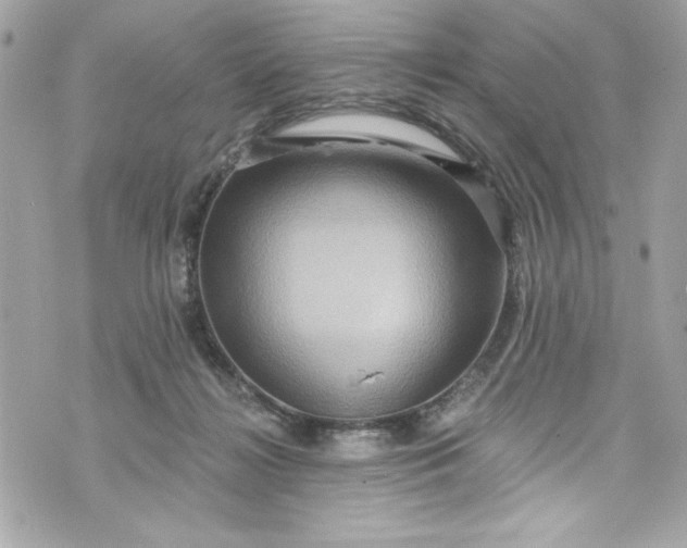 X0000075830268200609291429