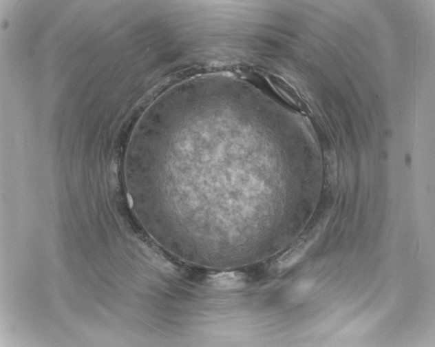 X0000075830269200609291429