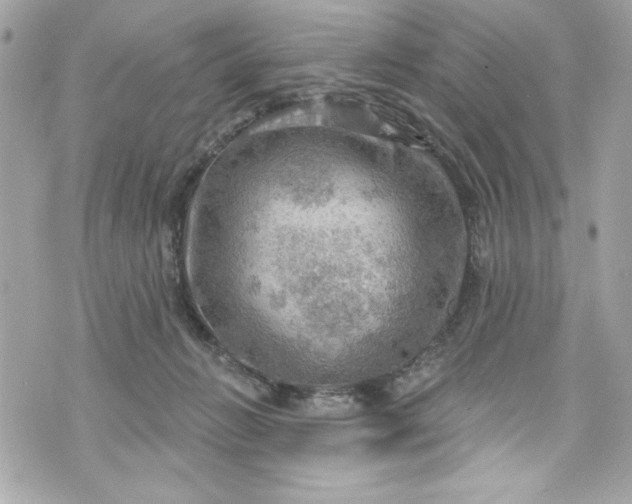 X0000075830270200609291429