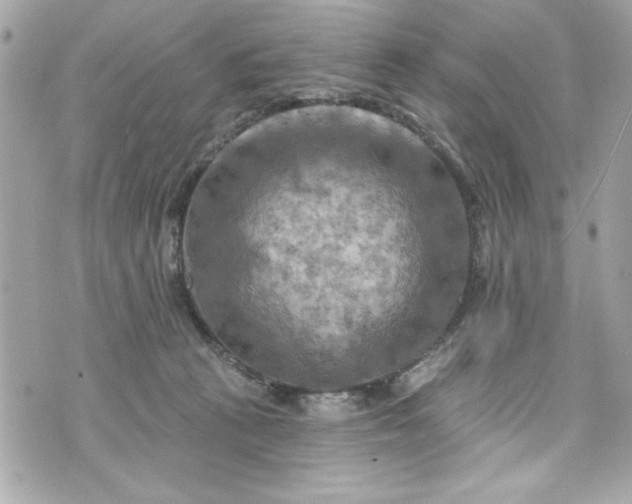 X0000075830273200609291429