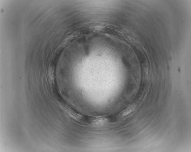 X0000075830274200609291429