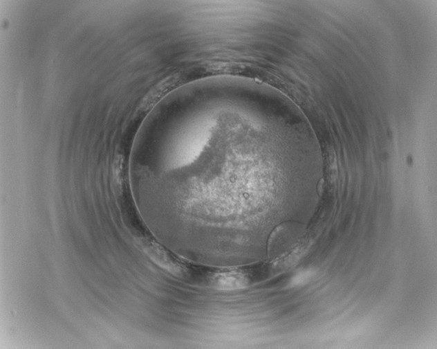 X0000075830275200609291429