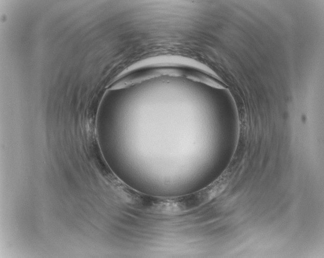 X0000075830276200609291429