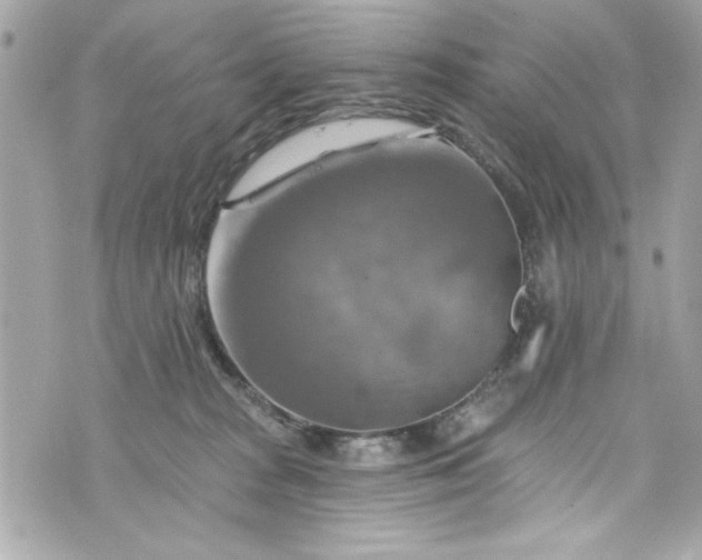 X0000075830277200609291429