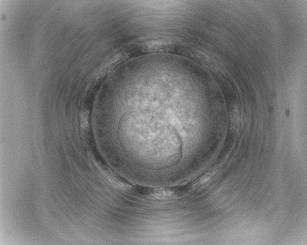 X0000075830278200609291429