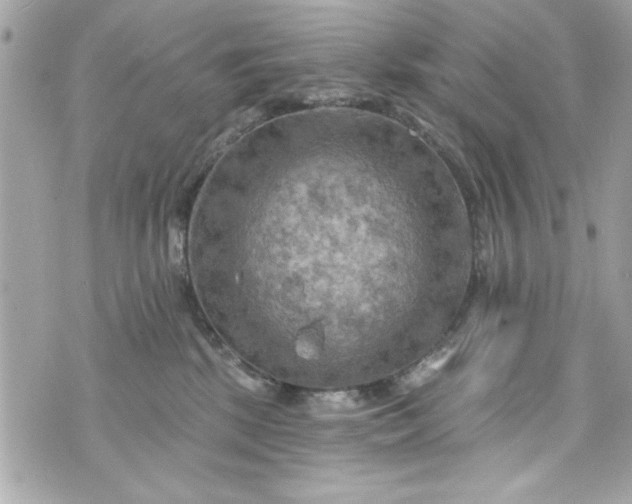 X0000075830281200609291430