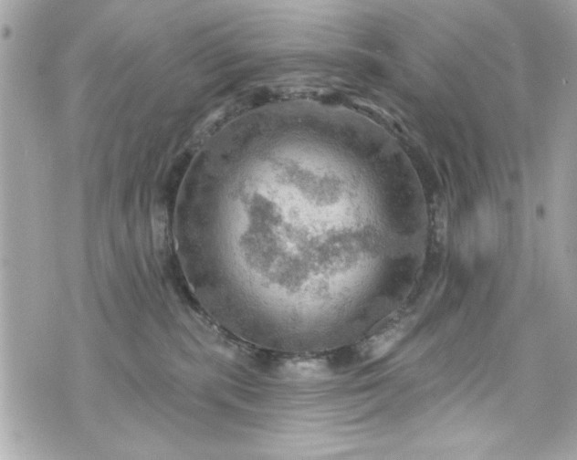 X0000075830283200609291430