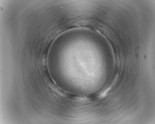 X0000075830284200609291430