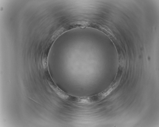 X0000075830285200609291430