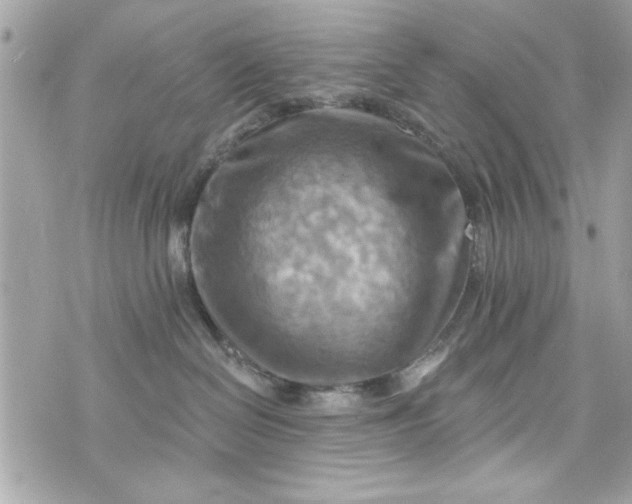 X0000075830286200609291430