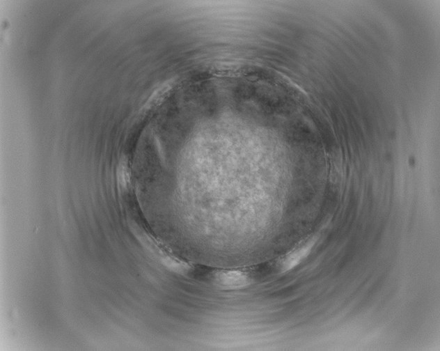 X0000075830287200609291430