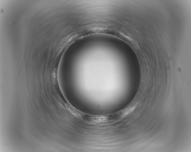 X0000075830288200609291430