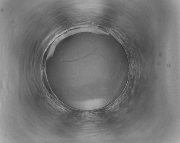 X0000075830290200609291429