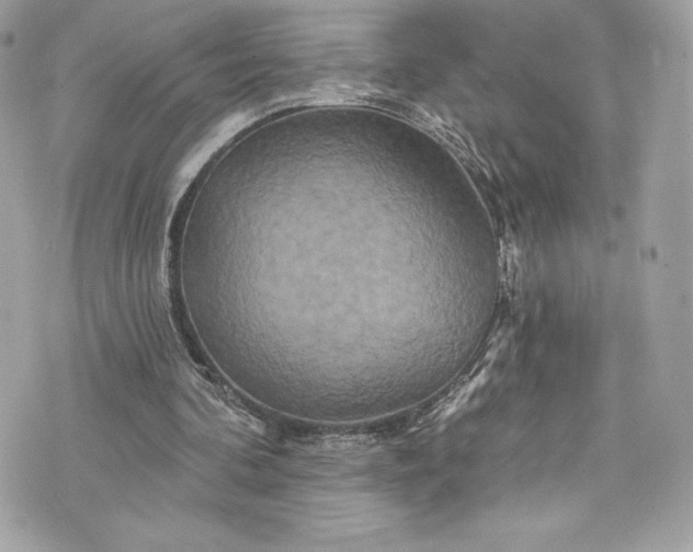 X0000075830292200609291429