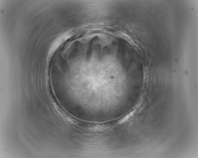 X0000075830293200609291429